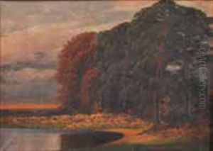 Landschaft Im Sonnenuntergang