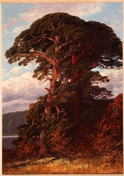 Pines By The Lake Ii - view 1