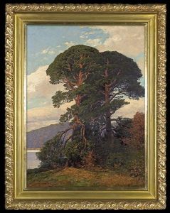 Pines By The Lake