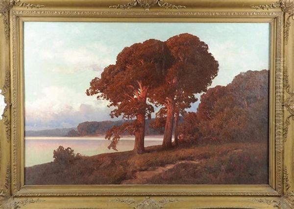 Markische Seenlandschaft Im Abendrot - view 1