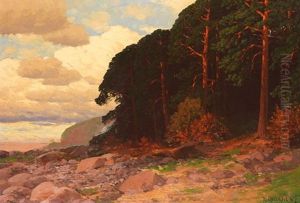 Kustenlandschaft Mit Kiefernwald