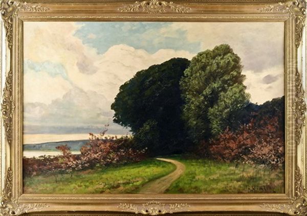 Bewaldete Landschaft - view 1