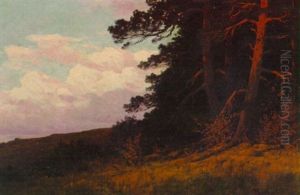 Abend Am Waldrand Abend Am Waldrand