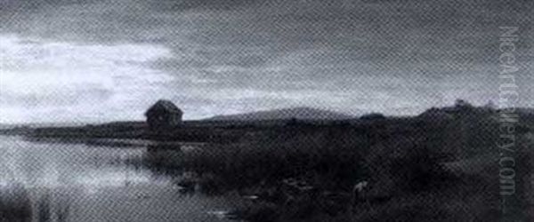 Abendliche Teichlandschaft - view 1