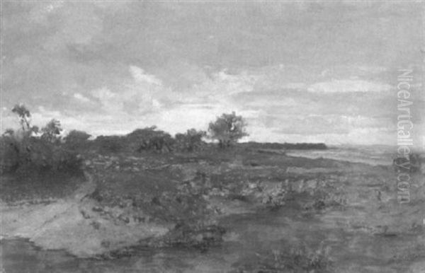 Oberbayerische Moorlandschaft - view 1
