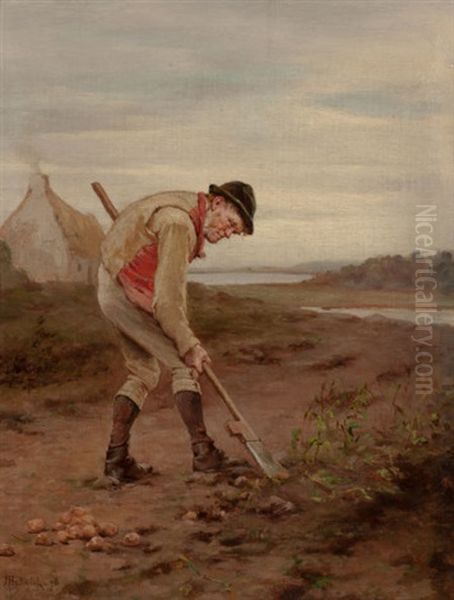 A Man Digging Potatoes - view 1