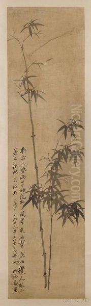 Bamboo - view 1