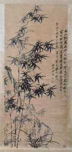 Bamboo