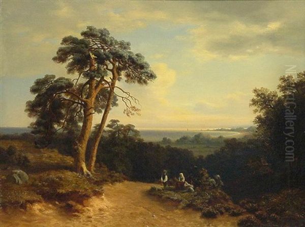 Kustenlandschaft An Der Ostsee - view 1