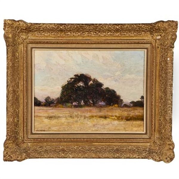 Landscape With Bolo Tree, Brazil - view 1