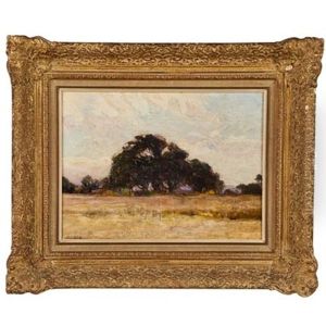 Landscape With Bolo Tree, Brazil Landscape With Bolo Tree, Brazil