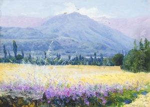Hills, Field And Lucerne, Chile