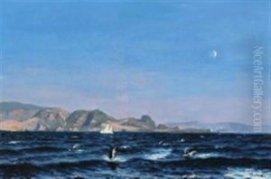 Early Night Scene With A Flock Of Harbour Porpoises Jumping Out Of The Water