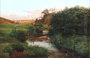Summer Day At A Stream