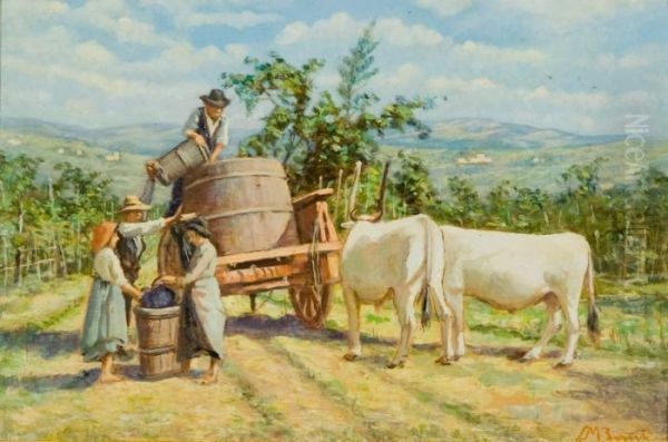 Vendemmia - view 1