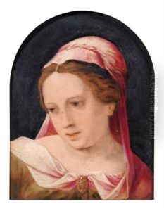 Jeune Femme Portant Un Voile Rose