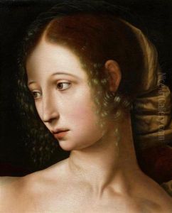 Lucretia