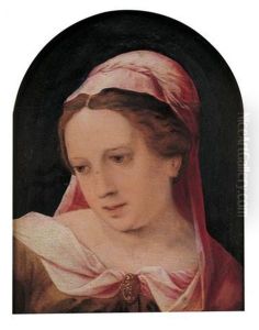 Portrait De Femme Au Voile Rose