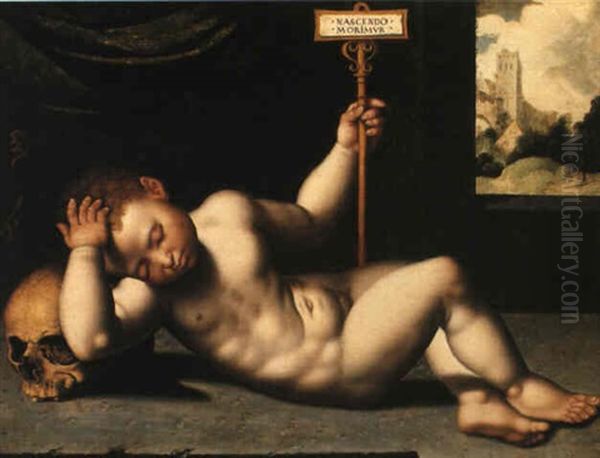 A Vanitas: Infant Reclining By Window Overlooking A Wooded Landscape - view 1
