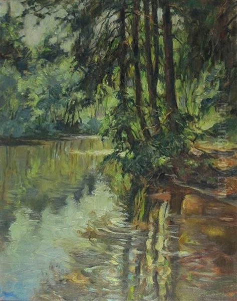 Spiegelnder Waldteich Im Sonnigen Licht - view 1