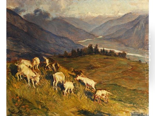 Goats Grazing On A Hillside, Mountains Beyond - view 1