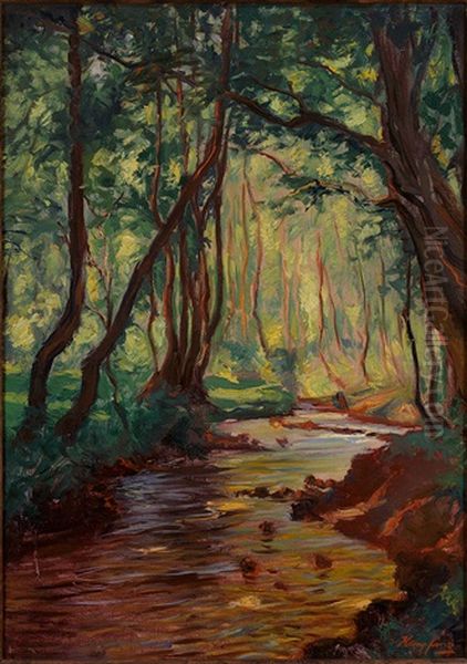 Waldbach Mit Flirrendem Lichteinfall An Einem Fruhlingstag - view 1