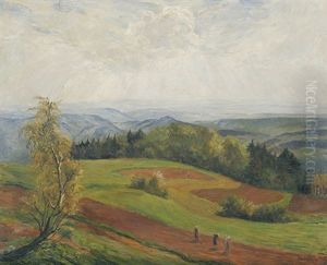 Blick Auf Schwarzwaldhohen (...buhl) Blick Auf Schwarzwaldhohen (...buhl)