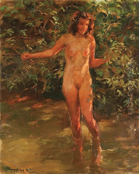 Nude Bather - view 1