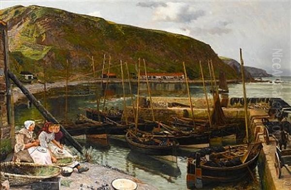 The Fishing Fleet In The Harbour At Burnmouth, Berwickshire - view 1