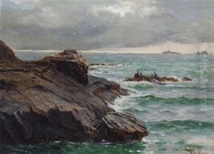 Shags On A Rocky Coastline