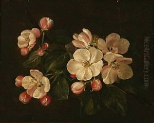 A Blooming Apple Branch