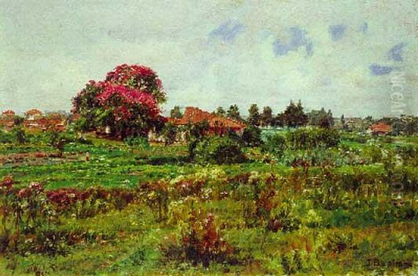 Fazenda Pau D""alho - view 1