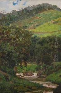 Paisagem Serrana by Joao Baptista Da Costa