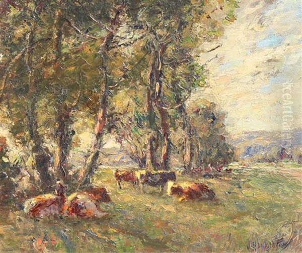 Cattle Resting Beneath The Trees - view 1
