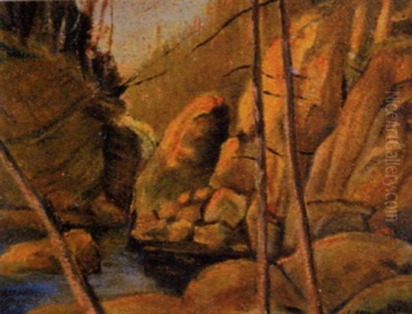 Utitled - Sooke River - view 1