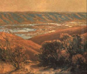 The Marsh