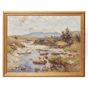 A Hill Stream