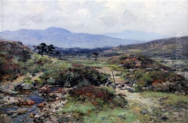 Scottish Landscape - view 1