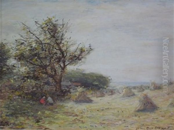 The Shade In The Hayfield - view 1
