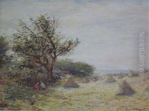 The Shade In The Hayfield