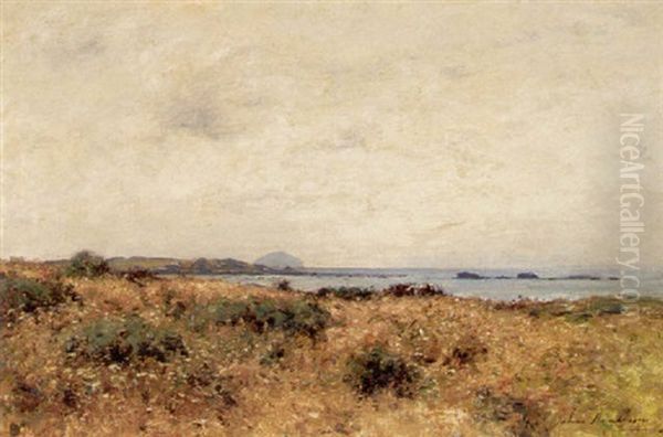 The Ayrshire Coast Looking Towards Ailsa Craig - view 1
