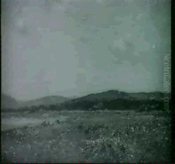 Picnicing - view 1