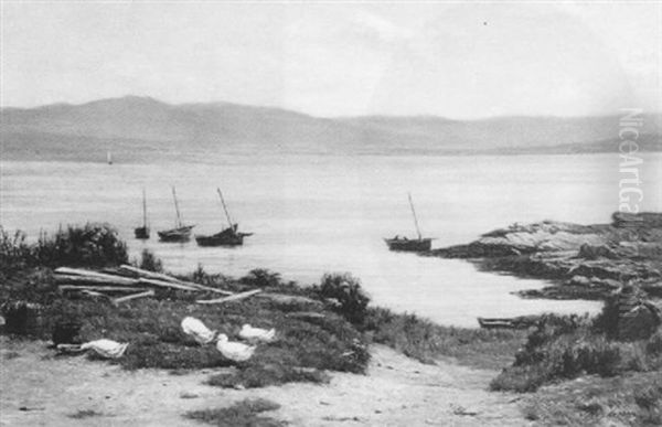 A View Near Dornoch - view 1