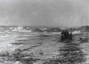 Gathering Kelp