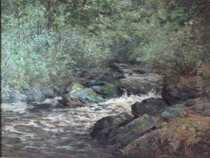 Woodland Burn by Joseph Morris Henderson