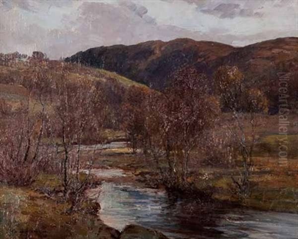 Scottish Landscape - view 1