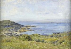 Summer On The Ayrshire Coast