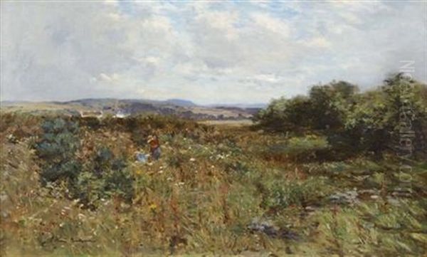 A Summer's Day - view 1