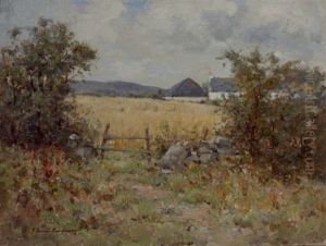 The Hayfield