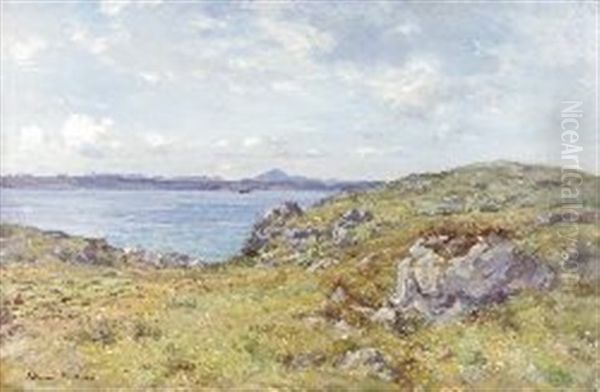 Summer Skies - view 1